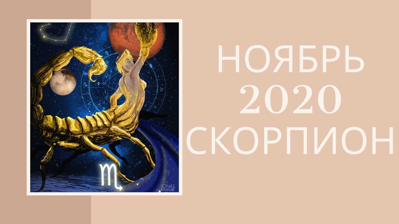 Гороскоп на ноябрь 2021 года скорпион для женщин и мужчин