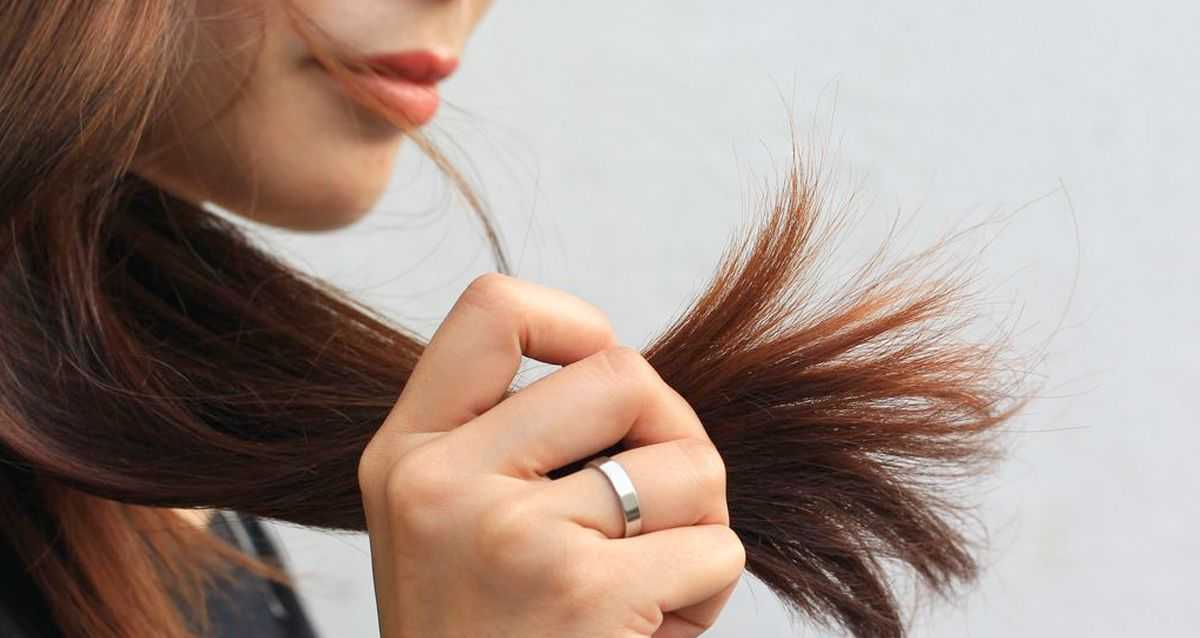 Влияют ли секущиеся концы волос на их рост