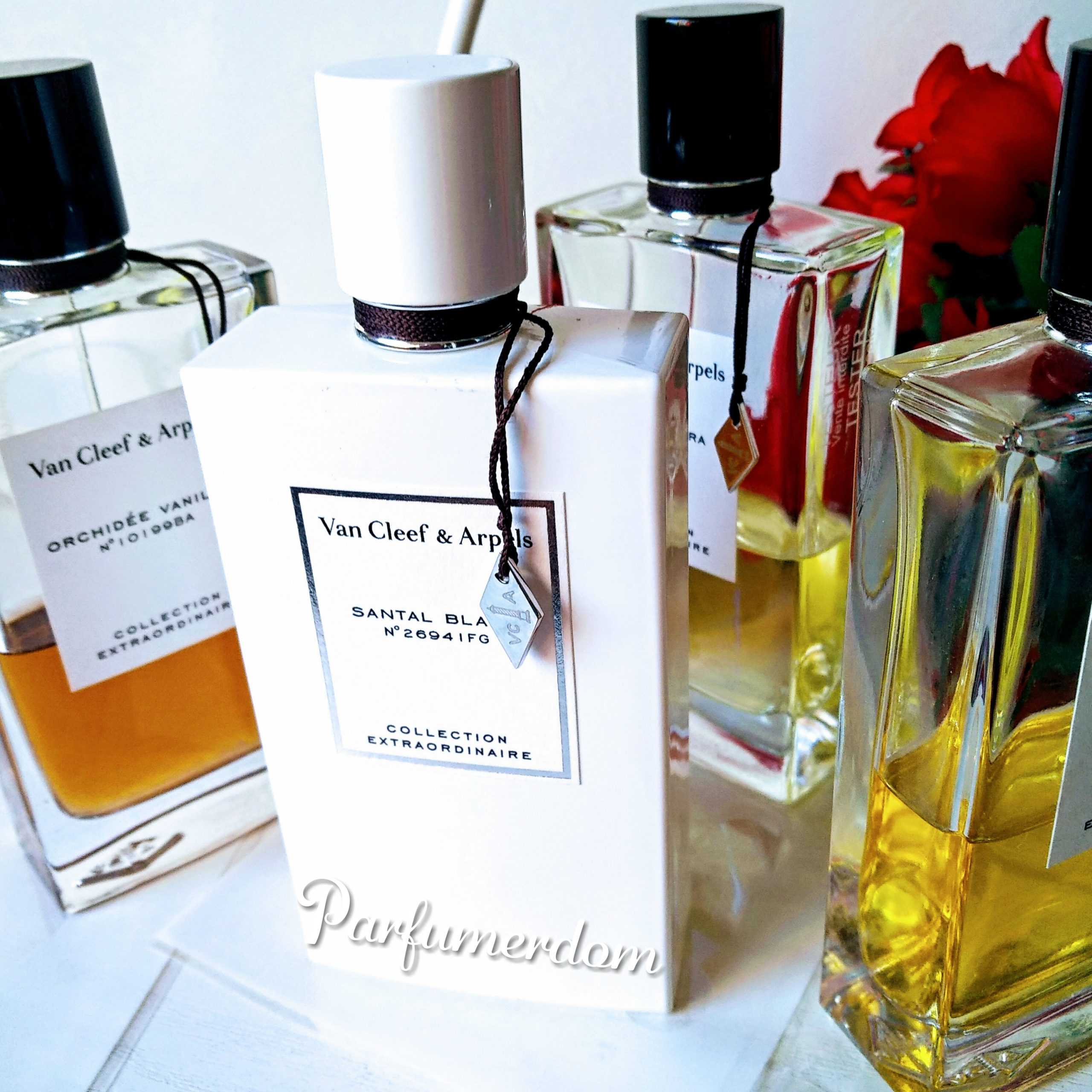 Селективная парфюмерия: отличия от массовой, популярные бренды