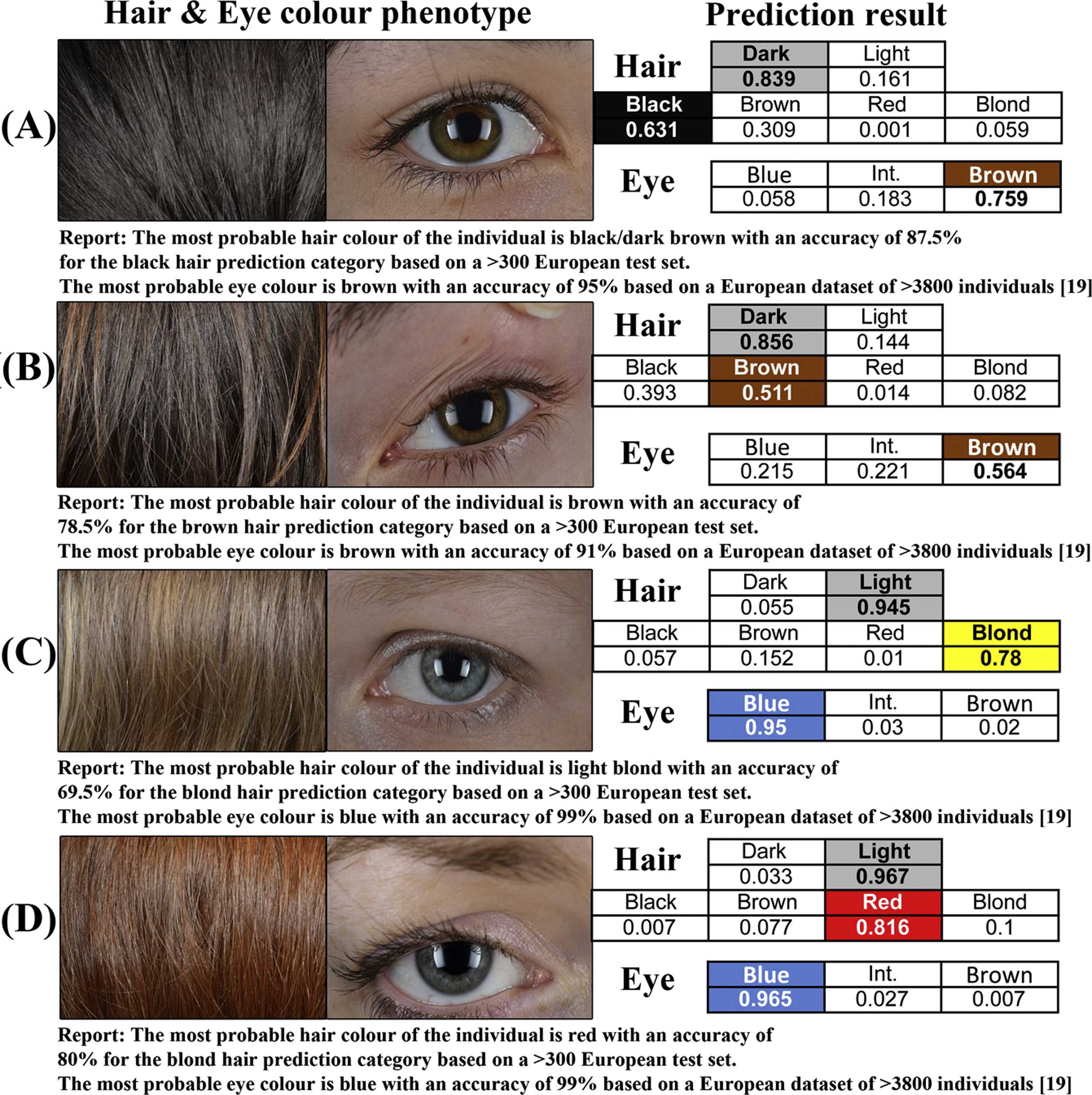 Какие гены влияют на волосы
