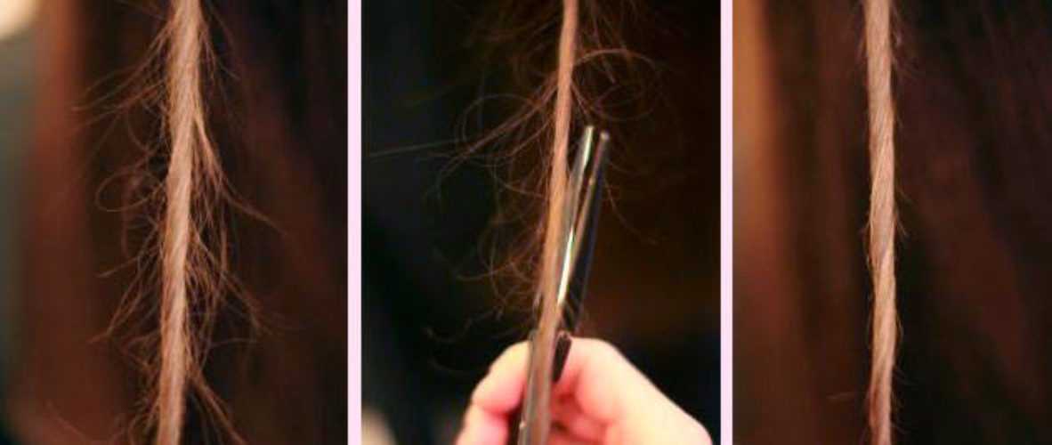 Секутся волосы: что делать в домашних условиях, лечение секущихся прядей по всей длине