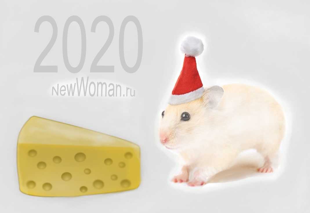 2020 - год какого животного