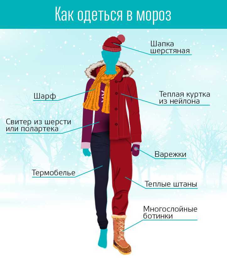 Мода зима 2021-2022 — модные тенденции в женской одежде: новинки с фото, тренды