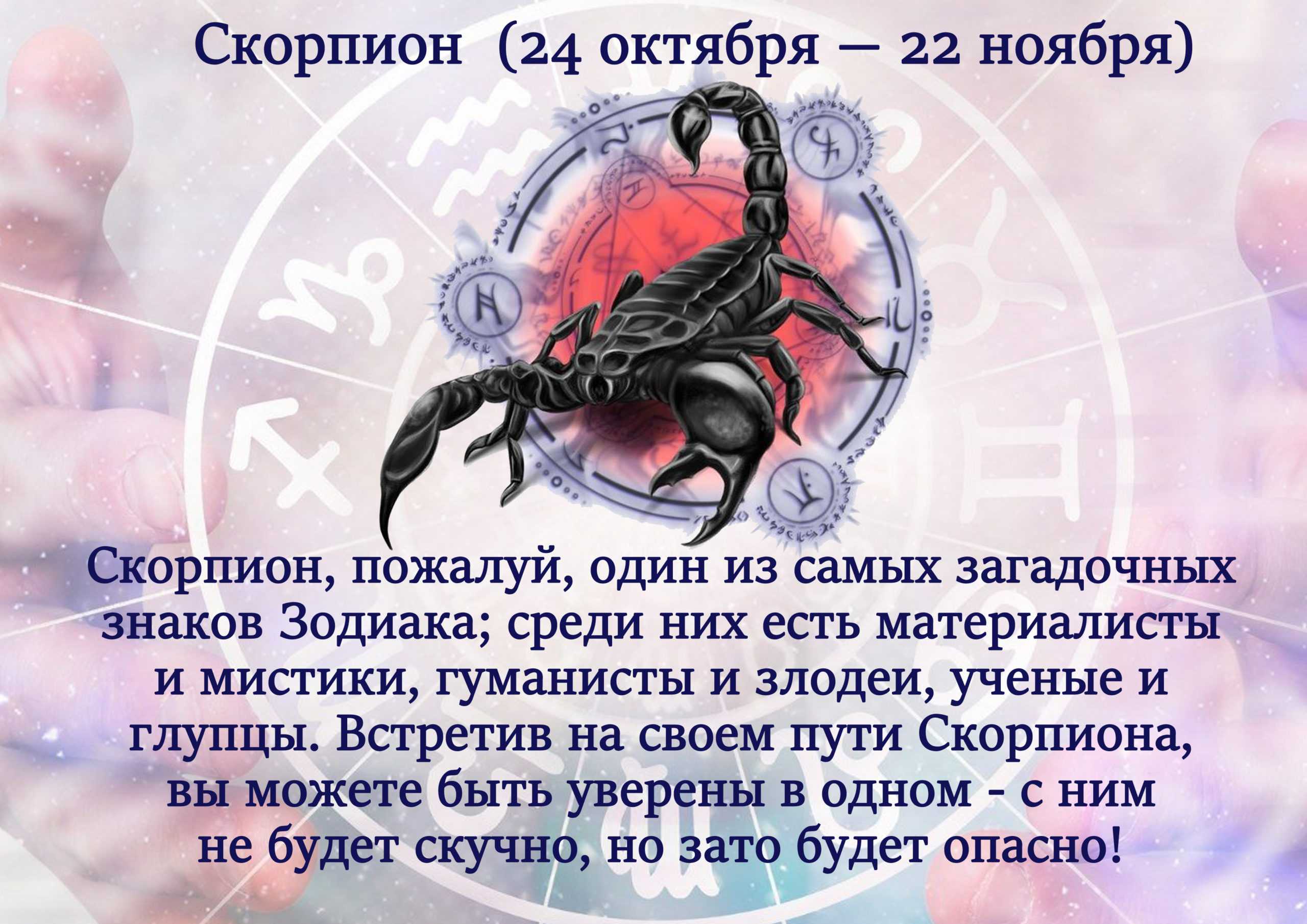 Скорпион! гороскоп на октябрь 2021 года для скорпионов