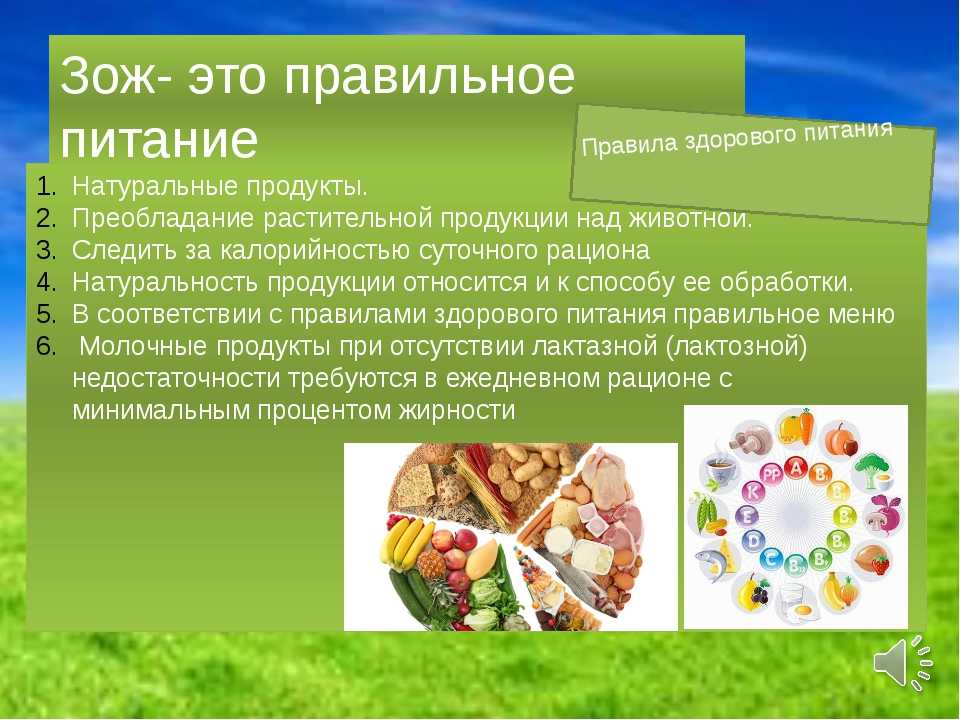 7 книг, которые помогут вам разобраться в работе организма - новости в россии - u24.ru