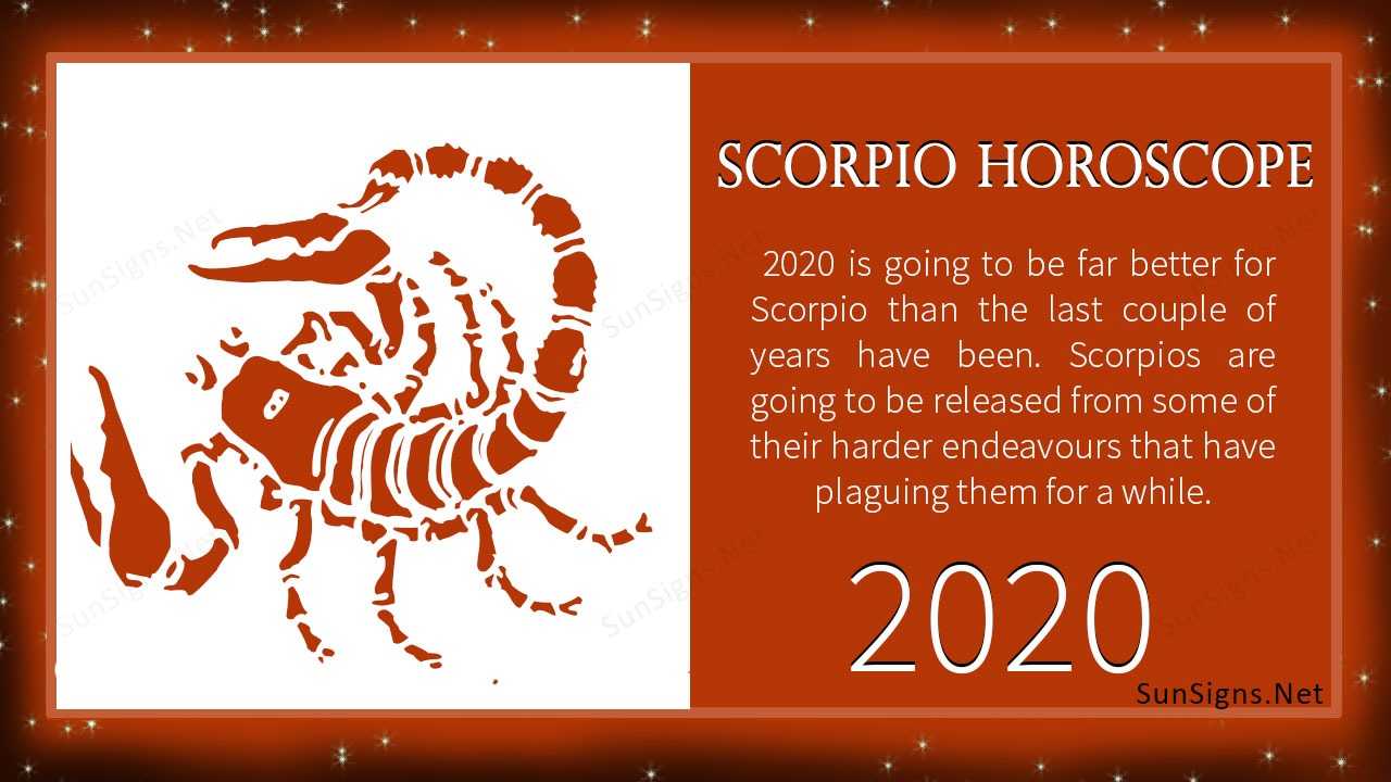 Гороскоп на 2020 год: скорпион (женщина)