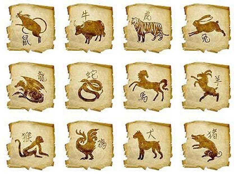 2018 год какого животного — гороскоп от астролога