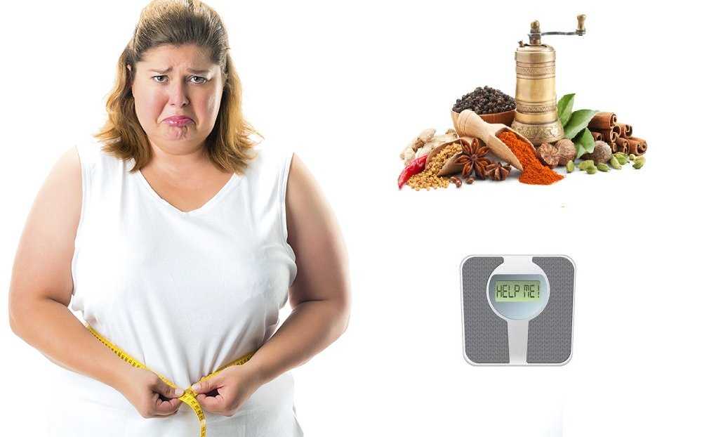Какие 7 фактов о похудении стоит знать тем, кто хочет сбросить вес: мнение диетологов: новости, диеты, похудение, советы, наука, здоровье