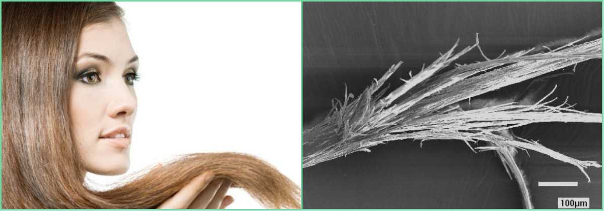 Секущиеся кончики волос - лечение домашними и салонными средствами, восстановление, уход и профилактика — секреты красоток