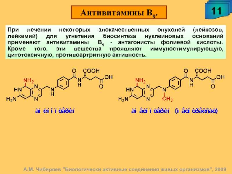 Реферат - антивитамины - 1.doc
