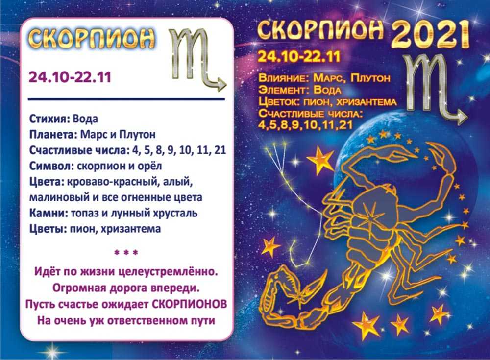 Зороастрийский гороскоп на 2021 год. предсказания древних людей на год коня | cheltv.ru