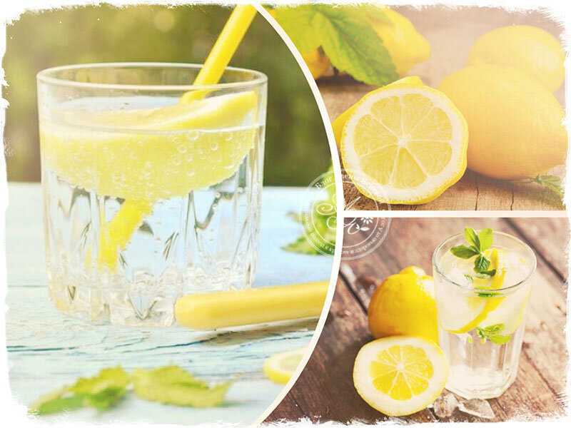 Лимонад из огурцов в домашних условиях — вкусный освежающий напиток