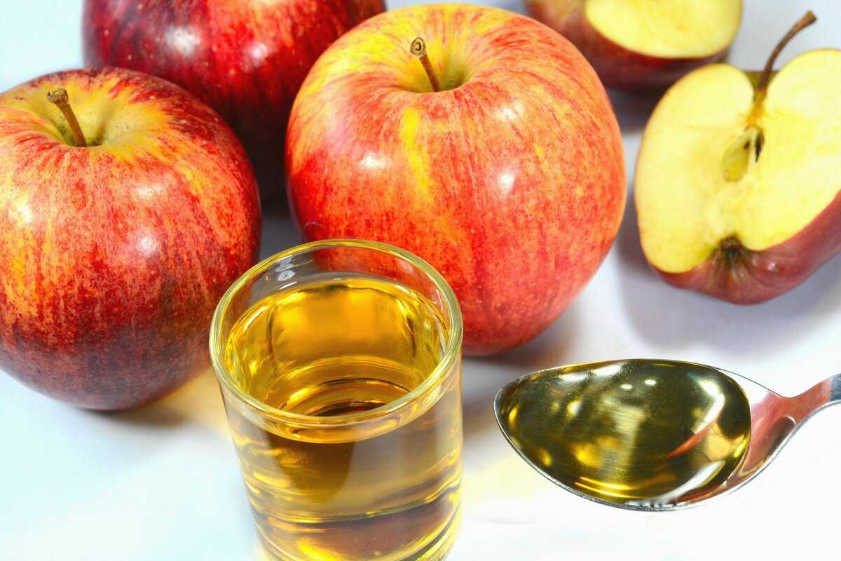 14 рецептов яблочного сидра в домашних условиях: лучшие из лучших
