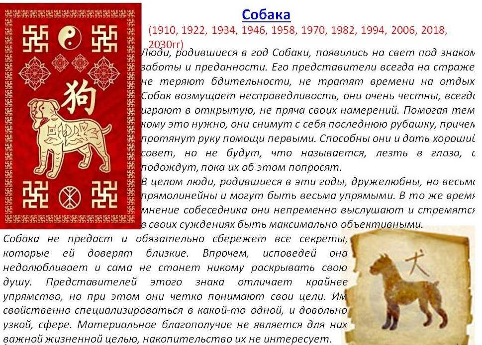 1991 год кого животного. Восточный гороскоп собака. Год собаки гороскоп. Знаки восточного гороскопа собаки. Гороскоп года животных.