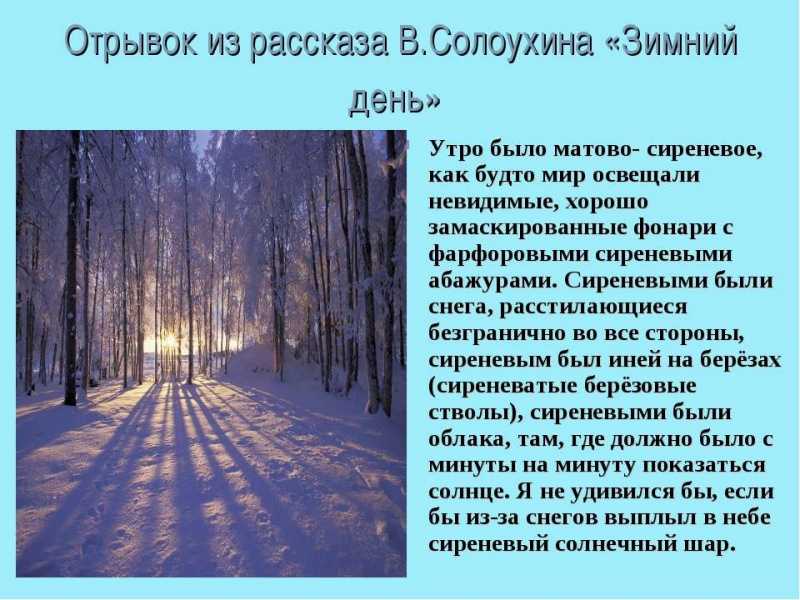Сочинения на тему «зима»