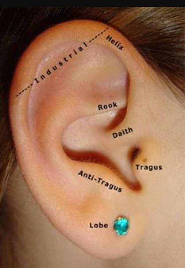 Почему нельзя прокалывать уши. Точки для прокалывания ушей.