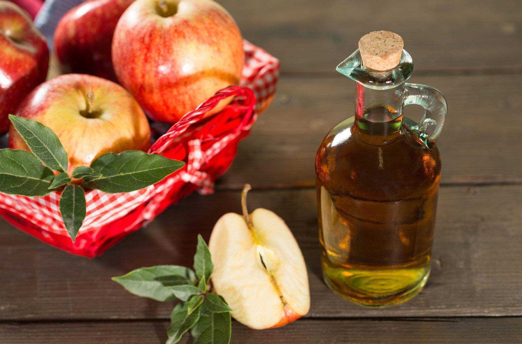 Яблочный сидр в домашних условиях – рецепты всех мастей
