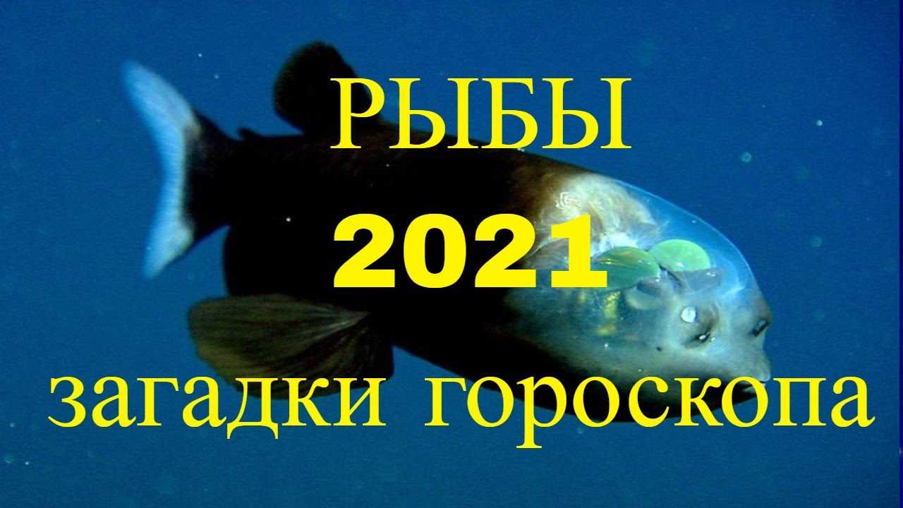 Гороскоп рыбы на 2021 год для женщин и мужчин