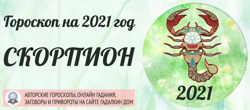 Гороскоп для женщины-скорпиона на 2021 год: любовь, деньги, отношения, карьера, от глоба, володиной, по месяцам