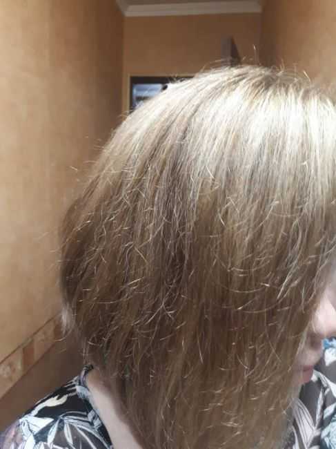 Тусклые волосы [безжизненные] - что делать в домашних условиях и уход в салоне
