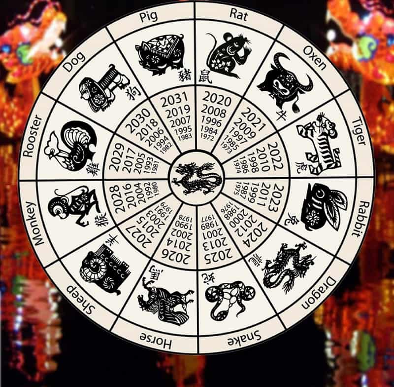 2021 год какого животного: китайский и славянский календари, в чем и как встетить, прогноз астрологов | праздник для всех