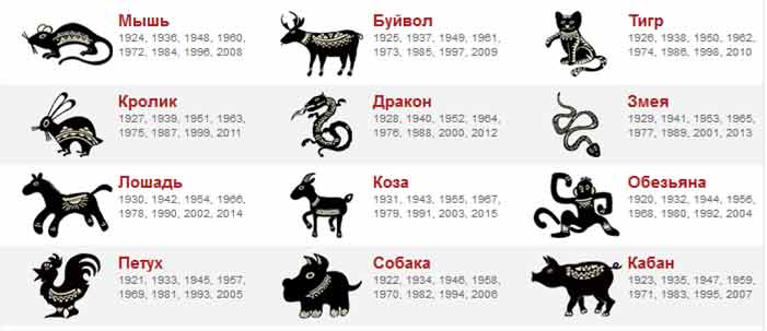 Структурный гороскоп: совмещение по годам и знакам зодиака