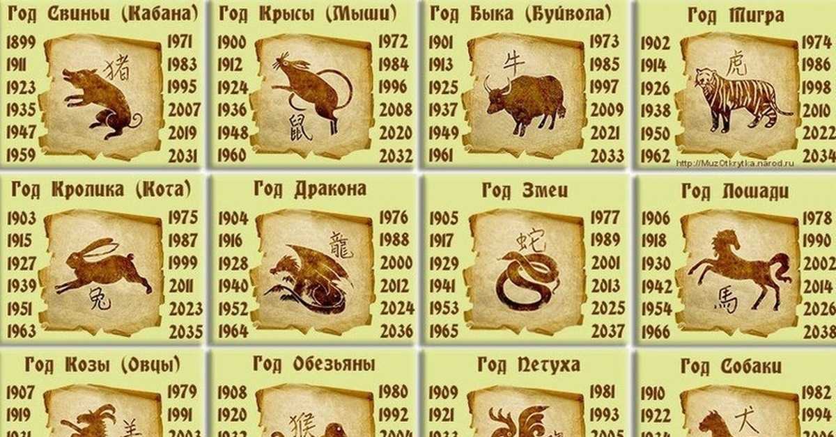Сочетание восточного гороскопа и зодиака | гороскопы 365